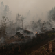 Image for article titled Photos: Inside the toxic haze, a “crime against humanity” caused by Indonesia’s fires